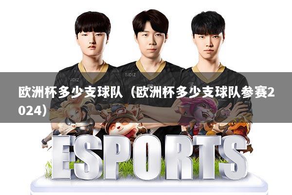 欧洲杯多少支球队(欧洲杯多少支球队参赛2024)
