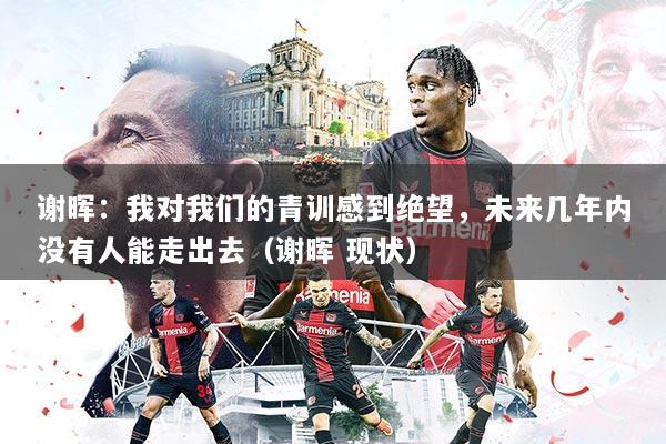 谢晖：我对我们的青训感到绝望，未来几年内没有人能走出去（谢晖 现状）