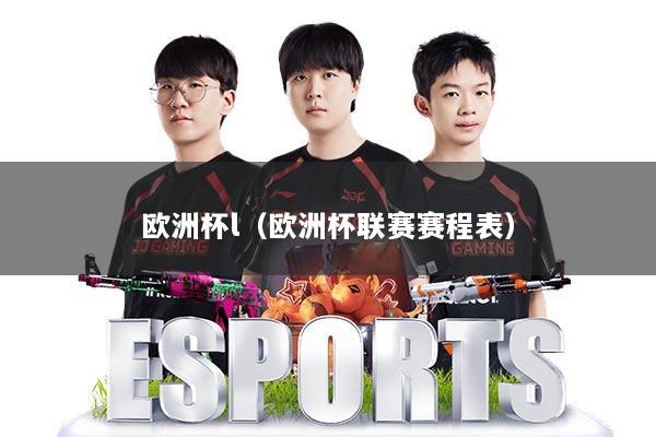 欧洲杯l(欧洲杯联赛赛程表)