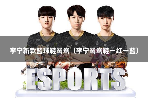 李宁新款篮球鞋鸳鸯（李宁鸳鸯鞋一红一蓝）
