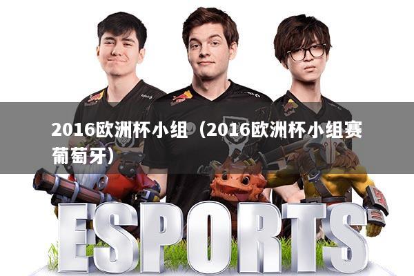2016欧洲杯小组（2016欧洲杯小组赛葡萄牙）