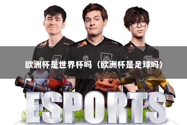 欧洲杯是世界杯吗（欧洲杯是足球吗）