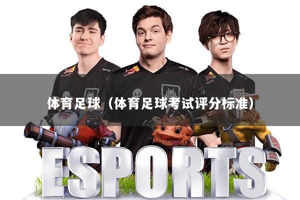 体育足球（体育足球考试评分标准）