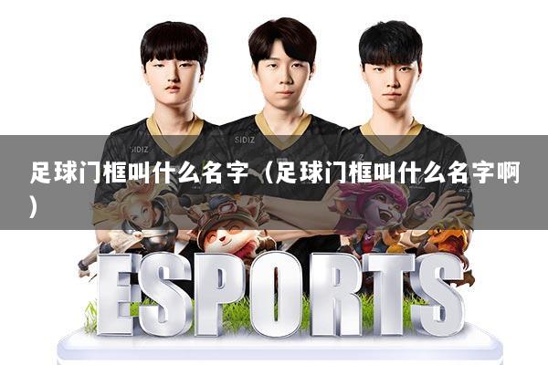 足球门框叫什么名字（足球门框叫什么名字啊）