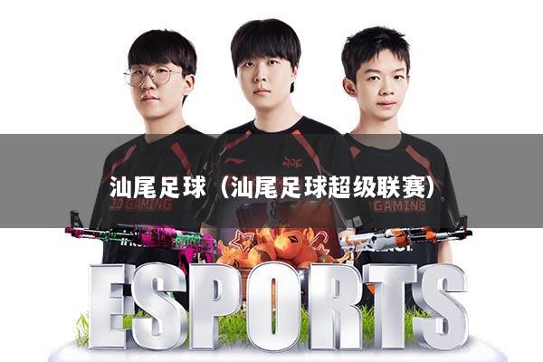 汕尾足球(汕尾足球超级联赛)